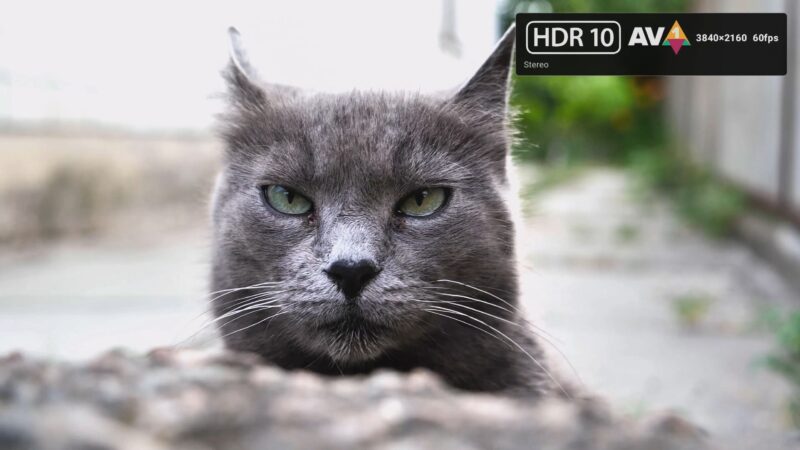 Ugoos AM9 Pro HDR 10 AV1 4K video playback