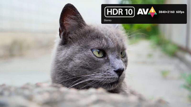 BuzzTV G Series HDR10 AV1