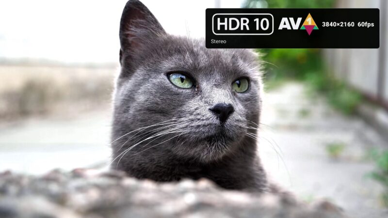 BuzzTV Classic AI 4K HDR10 playback