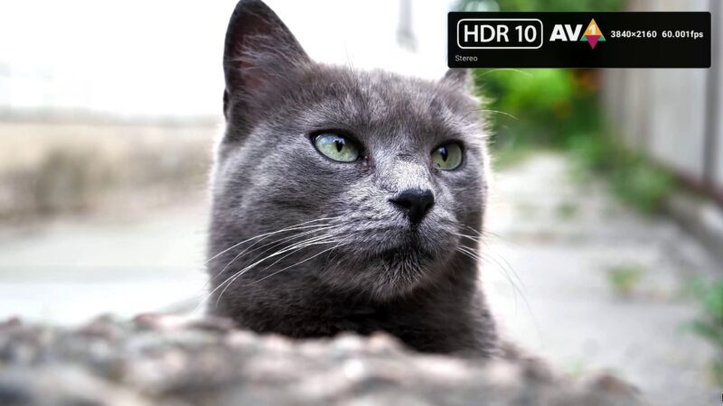 Ugoos SK4 Pro HDR 10 video playback