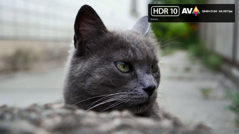 Ugoos X5M Pro HDR10 AV1